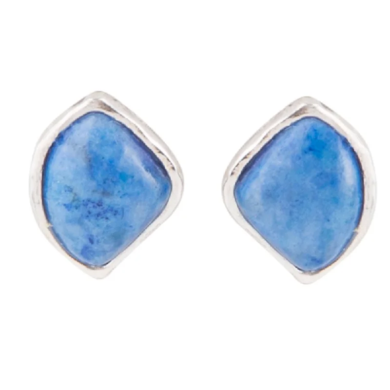 Hoop earrings with satin finishes for a smooth and elegant appearance-Abstract Blue Lapis and Sterling Silver Post Earrings