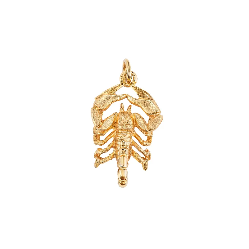 Stunning necklaces and pendants with ruby and diamond combinations for a luxurious effect-Scorpio Sculpture Pendant